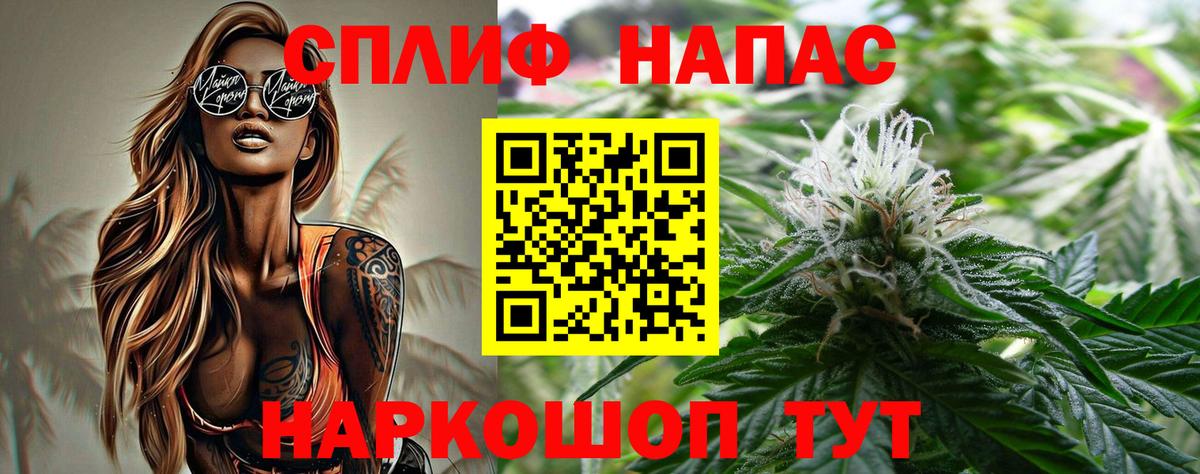 Бошки марихуана план  Вход с VPN  Марихуана семена  Новоалександровск 